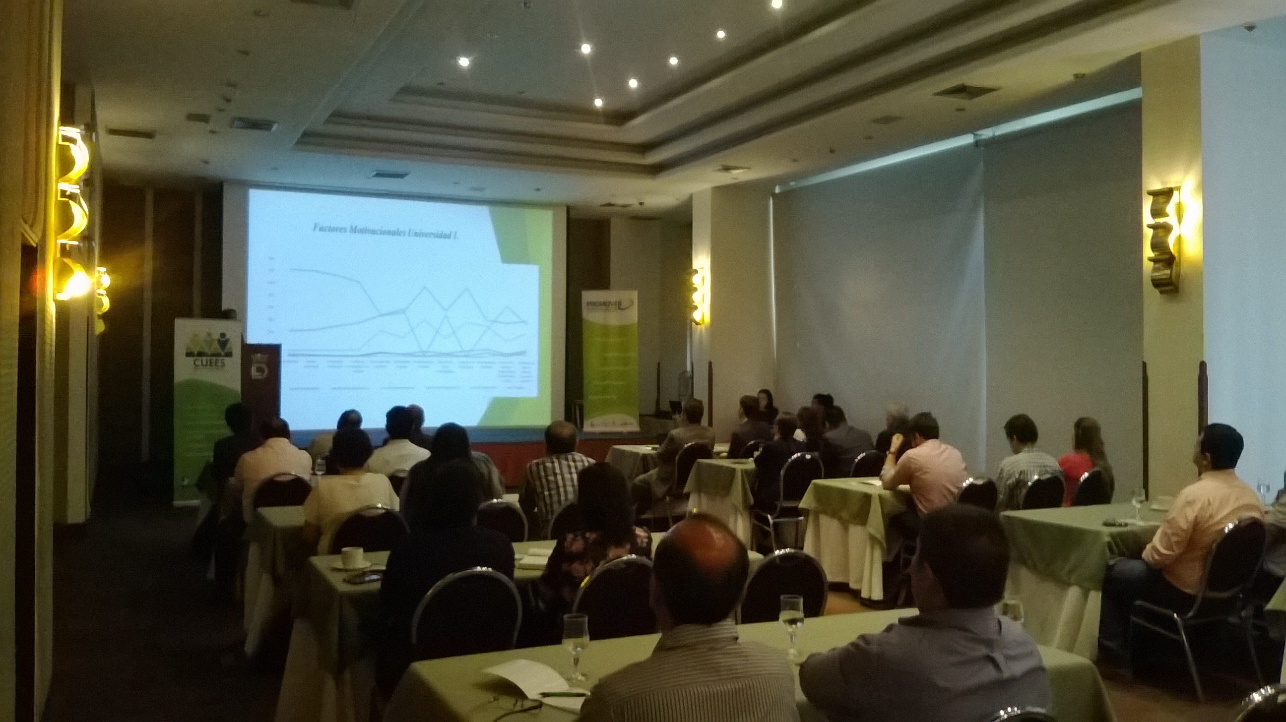 PROMOVER Investigación 2014